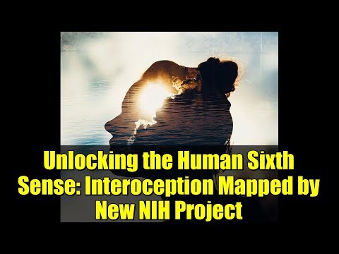 Unlocking the Human Sixth Sense: Interoception Mapped by New NIH Project