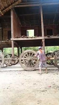 ရိုးရာပညာ​တွေ##knowledge/##nature