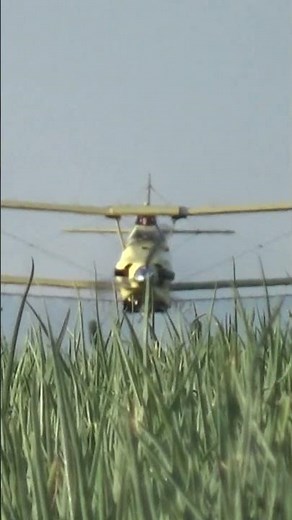 Crop Duster flying low #shorts