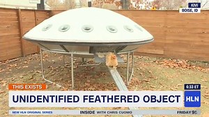 5.8K views · 62 reactions | If the Jetsons had a chicken coop... | Morning Express with Robin Meade | Facebook