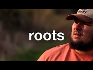 roots official lyrics/visualizer