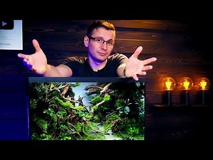 BALAZS' REVENGE - PLANTED FISH TANK BUILD FOR REAL