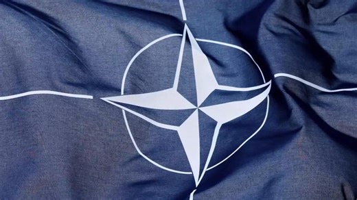 What is NATO and what is its purpose? AP Explains