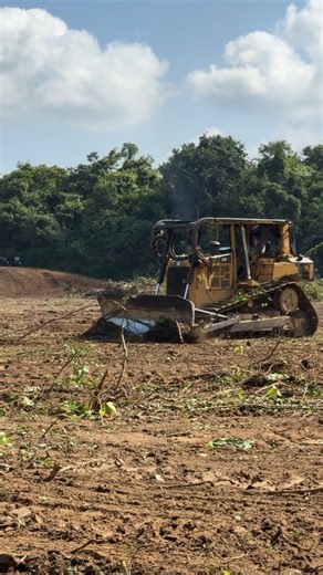 CAT D6R XL Bulldozer Clearing Plantation Land