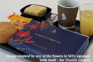 Yay or nay? SIA trials paper serviceware in bid to go green, but public opinion divided