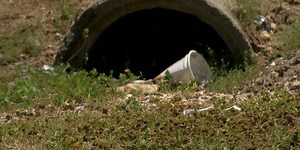 Breakdown: Why littering can lead to pollution