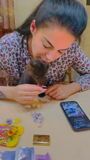 ⚜️ Соболь Тёпа ⚜️ (@sable_tepa) - Adorable Kitten Enjoys Hand-Feeding Moments