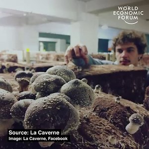 418K views · 6K reactions | Change starts from the top.  Read more: https://wef.ch/30Od9QM | World Economic Forum | Facebook