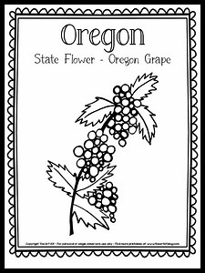 Oregon State Flower Coloring Page (Oregon Grape) {FREE Printable!}