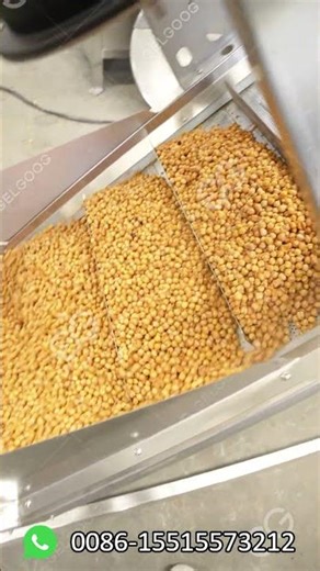 Crispy Fried Chickpeas Frying Line
