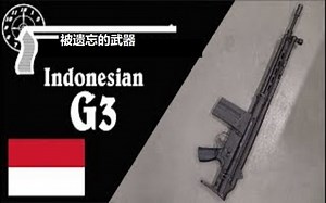 【搬运\u002F已加工字幕】印度尼西亚伸缩托G3步枪 历史介绍