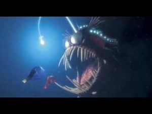 Finding Nemo Anglerfish Sound (UNCUT)