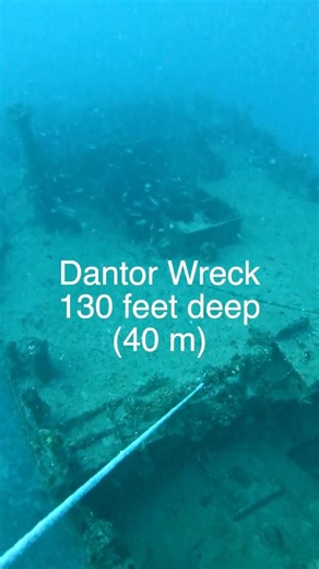 Quick peek inside the Dantor Wreck (125'/39m deep). #scubadiving