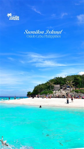 Sumilon Island ✨🌊 Turquoise waters, powdery sands, pure island calm ✨🏝️ Oslob Cebu Ph 🇵🇭 #SumilonIsland #CebuIslandGuidePH #Cebu #IslandMood #OceanBliss #WanderPH | Cebu Island Guide