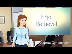 What is the Egg Donation Process? - Conceptual Options Egg Donor Educational Series