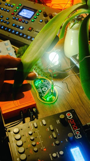 Hideo Nakasako | Music Producer on Instagram: "My first ambient session of 2026 began with one of my favorite combinations: the Playtronica BIOTRON and YAMAHA SEQTRAK. Both the SEQTRAK and Elektron Analog Four were routed into the Octatrack, where I used the Flex machine to introduce random glitchy, almost granular movements to the incoming sounds. The unpredictable shifts gave the session a sense of flow and discovery, making it a perfect way to start the year. It feels like 2026 is already off