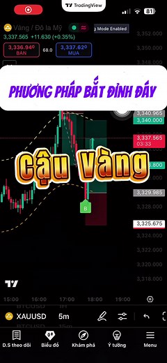 Cách Bắt Đỉnh Đáy Cậu Vàng Trong Forex