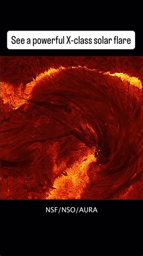 2K views · 73 reactions | For the first time ever, the world’s largest solar telescope has captured an X-class solar flare, a flare so powerful it can sometimes interfere with technology on Earth. “These flares are among the most energetic events our star produces, and we were fortunate to catch this one under perfect observing conditions,” one astrophysicist said. | Popular Science | Facebook