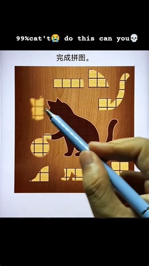 Wooden Cat Shape Puzzle😾#shortsfeeds #viralshorts #trending #puzzle
