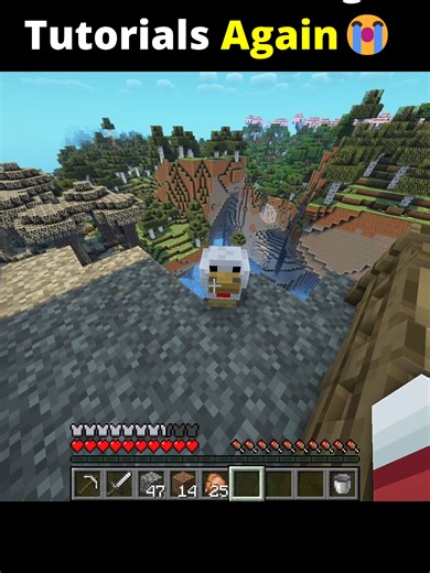 Never Trusting Tutorials Again 😭#minecraft