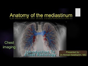 2-Anatomy of the mediastinum
