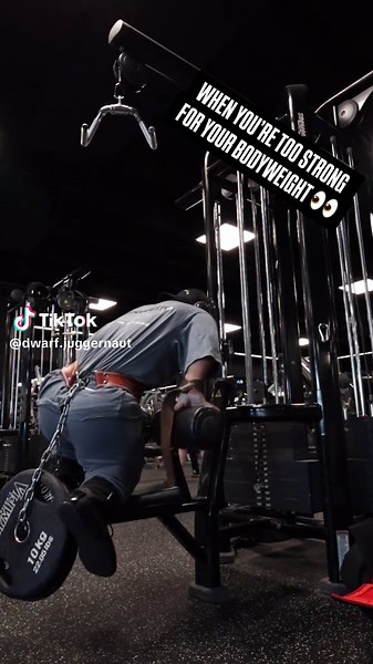 Back and Bicep Workouts for Bodybuilders