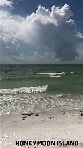 Stunning Views of Honeymoon Island Beach 🌴✨