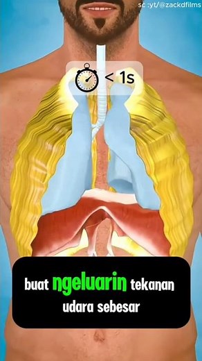 Your Sneeze Can Reach 160 km/h (100 mph) 😱 | Crazy Human Body Facts