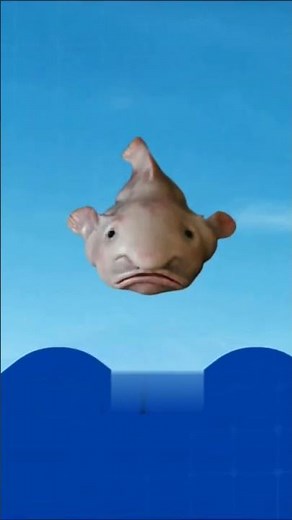 Blobfish: The World's Ugliest Fish or a Deep-Sea Marvel #viralvideo #deepocean #marvel