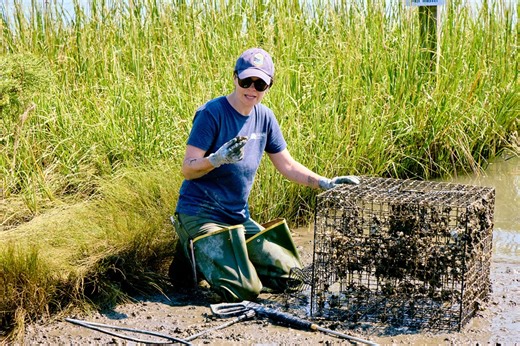 DNREC Helps Keep Waterways Clear of Old Crab Pots - DNREC