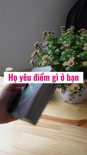 Exploring Tarot Card Readings with Intuitive Hands