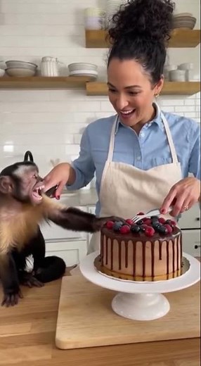 Monkey Slaps Woman’s Arm While She Cuts Cake! 😂🐒🎂 | Funny Real Kitchen Moment