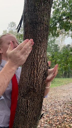 ASMR Giving a tree a massage in the rain #asmr | ASMR