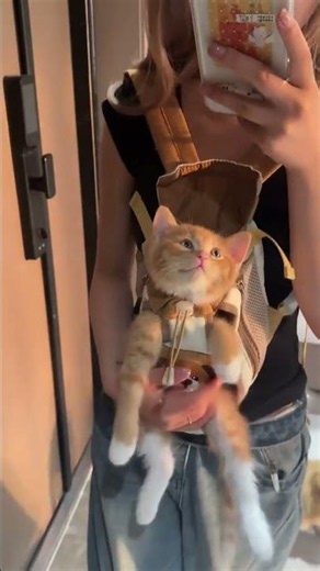 POV You Found The Perfect #CatCarrier For Safe Outdoor Adventures
