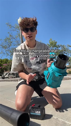 Top Daily Electric Leaf Blower for Patio Cleaning
