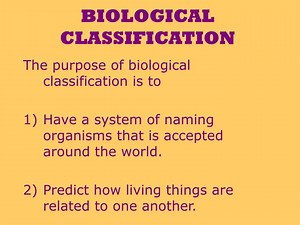 BIOLOGICAL CLASSIFICATION - SlideServe