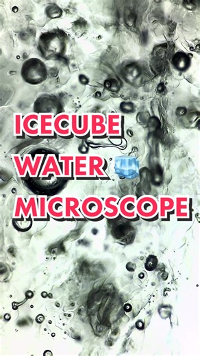 Exploring Melted Ice Water Under the Microscope