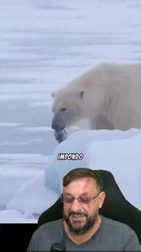 Animais que não têm predadores naturais @dna.selvagem #biologohenrique #animais #biologo