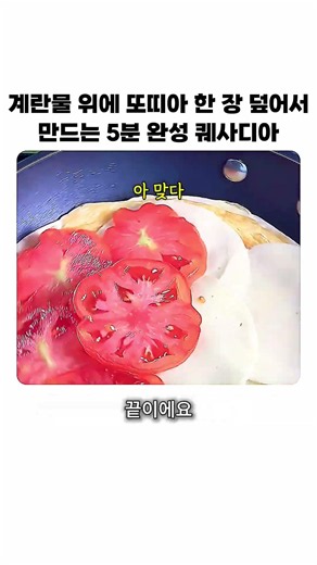 계란물 위에 또띠아 한 장 덮어서 만드는 5분 완성 퀘사디아