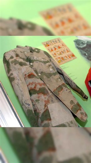 How did disruptive camouflage come about? (excerpt from the video: The Evolution of War Camouflage)