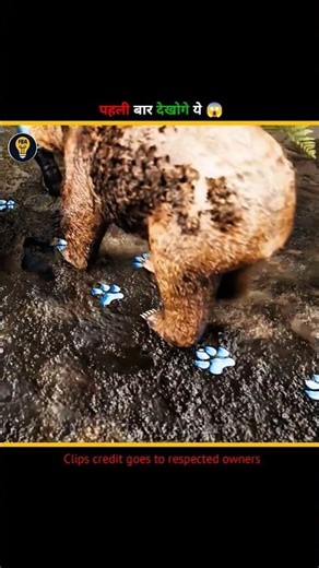 Discussing Footprint in WW2 😱