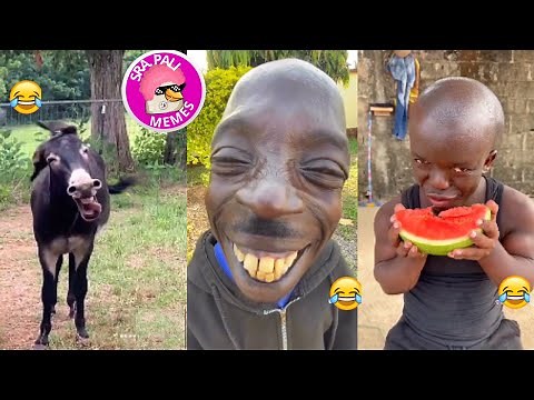 Humor Tiktok - Os Vídeos + Engraçados do Tiktok 2024! Whatsapp Memes Br #22 - Tente Não Rir Muito