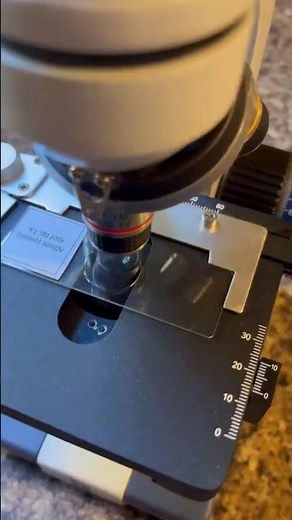 How to Use the Microscope | Master Books Student Demo 🔬