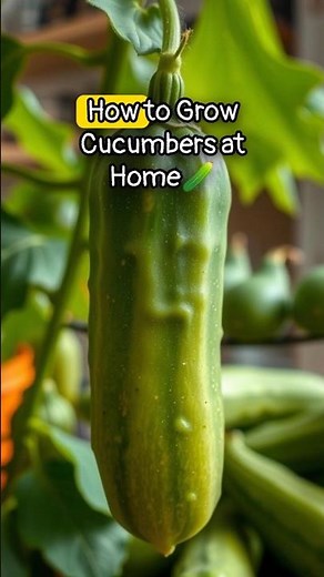 How to Grow Cucumbers at Home | Easy Gardening Tips 🥒🌱