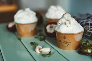 The Icee Company: History, Overview, and Background