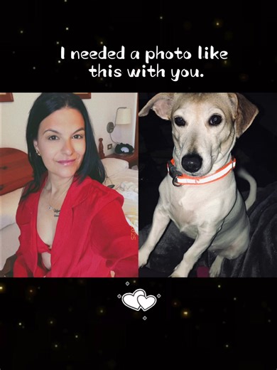 #aiuniverse Take me back to the year 2012 Poppy ❤️