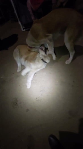 18 января 2026 г.