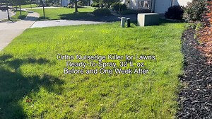 Watch Ortho Nutsedge Killer for Lawns Ready-To-Spray In Action on Amazon Live