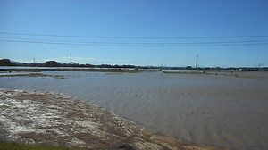 令和元年　台風19号　那珂川　氾濫　茨城県ひたちなか市