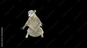Sheep Dancing, Animal, 3d rendering, Animation Loop, cartoon, included in the end of the clip with Alpha matte.